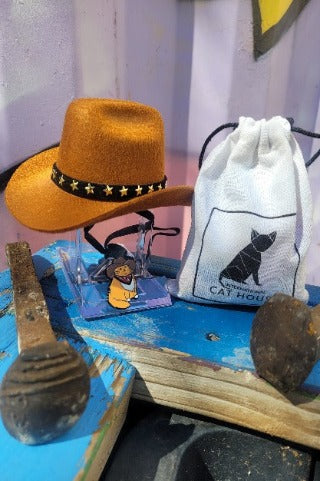 Meowdy Hat & Pin Set