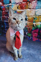 Maahes W Buffett Adjustable Collar With Red Power Tie